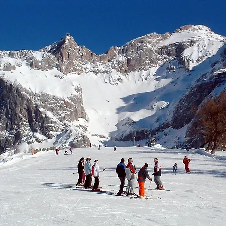 Wildschutz 4*