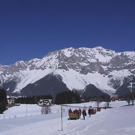 Wildschutz Gasthof Ramsau am Dachstein