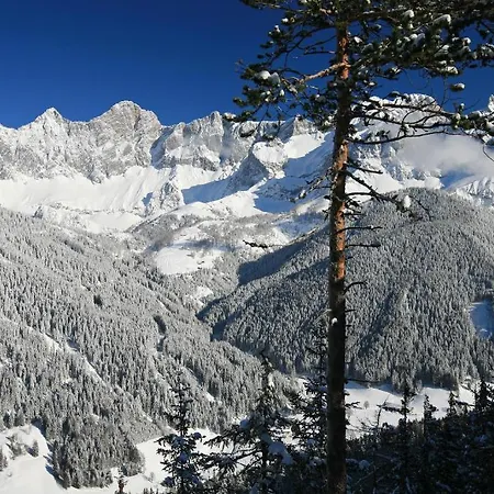 Gasthof Wildschutz Ramsau am Dachstein