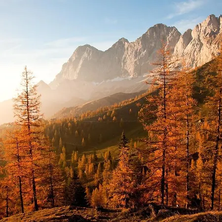 Wildschutz 4* Ramsau am Dachstein